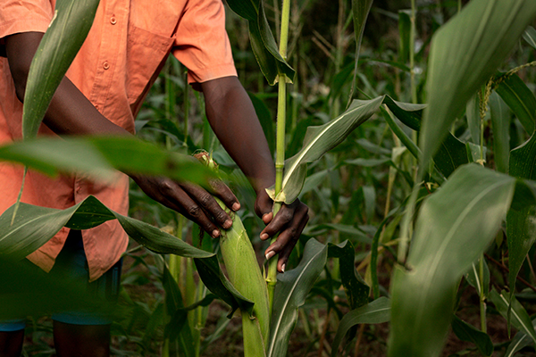 BATALPHA Founder and Team